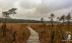 Hinauf auf den See Hinauf auf den See