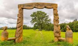 Der älteste Baum Estlands Der älteste Baum Estlands