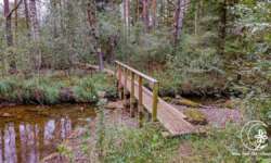 Über sieben Brücken.... Über sieben Brücken....