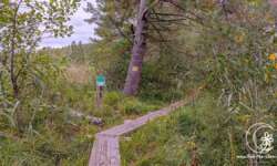 kleine Pfade kleine Pfade