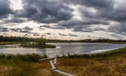Blick aus der Hütte im Saremoo Moor Blick aus der Hütte im Saremoo Moor
