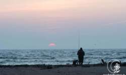 Angler am Kap Angler am Kap