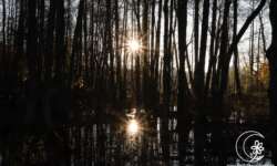 Sonne im Wasser Sonne im Wasser