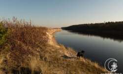 Die Irbene Die Irbene