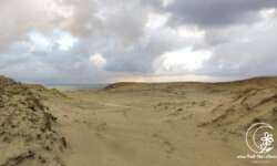 Wüstenfeeling Wüstenfeeling