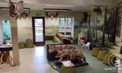 tolle Ausstellungen tolle Ausstellungen