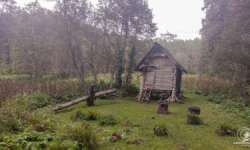 Mystische Märchenhütte Mystische Märchenhütte