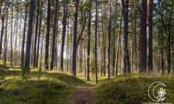 wundervolle Wege wundervolle Wege