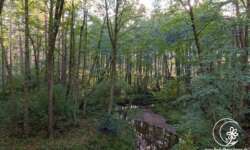 Traumhafte Natur Traumhafte Natur