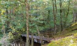 Wälder und Sümpfe Wälder und Sümpfe