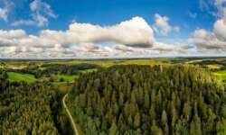 Südestland-Panorama Südestland-Panorama
