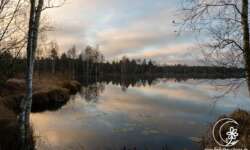 der See des Mūša Tyrel Moor der See des Mūša Tyrel Moor