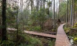 Abkürzung Abkürzung