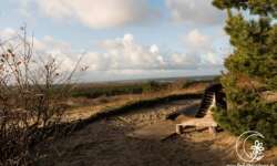 traumhaftes Bänkchen mit Blick traumhaftes Bänkchen mit Blick