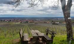 Deutsche Weinstraße Deutsche Weinstraße