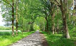 Land der Alleen Land der Alleen