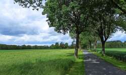 Sträßchen durch Münsterland Sträßchen durch Münsterland