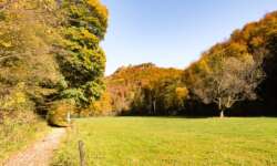 Herbsttal Herbsttal