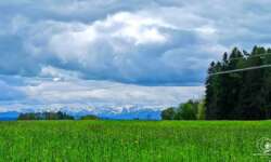 Bergblick Bergblick