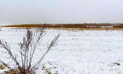 Winterlandschaft Winterlandschaft