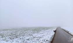 Nebel - in den Tälern nicht selten Nebel - in den Tälern nicht selten