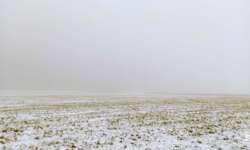 Kein Blick auf den See Kein Blick auf den See