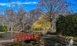 rote Brücke im Schlossgarten rote Brücke im Schlossgarten