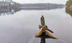 Der Savsjön Der Savsjön