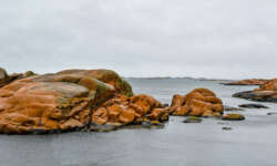 rosa Granit von Lysekil rosa Granit von Lysekil