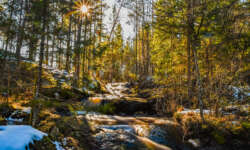 Spaziergang zum Wasserfall Spaziergang zum Wasserfall