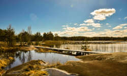 Toller Steg im Yttre Bodane Toller Steg im Yttre Bodane