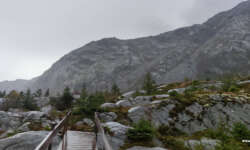 Die Vegatreppe Die Vegatreppe