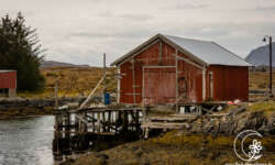 Im Hafen von Vega Im Hafen von Vega