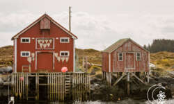 Kleine Hütten im Hafen von Vega Kleine Hütten im Hafen von Vega