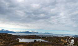Blick zum See Blick zum See
