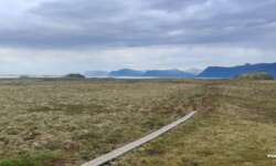 Der erste Steg Der erste Steg