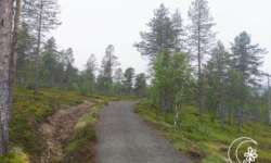 Der erste Weg ist rollstuhltauglich Der erste Weg ist rollstuhltauglich