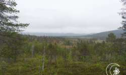 Weiter Blick ins Ånderdalen Weiter Blick ins Ånderdalen