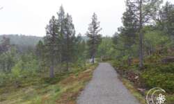 Wunderbare Ruhe Wunderbare Ruhe