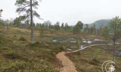 Der Genusspfad Der Genusspfad