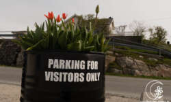 Parken am Kunstmuseum Parken am Kunstmuseum