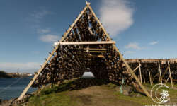 Lofoten-Kathedrale Lofoten-Kathedrale