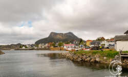Der Hafen Der Hafen