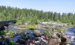 Blick über die Dead Falls Blick über die Dead Falls