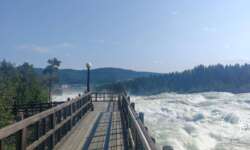 Der Aussichtssteg Der Aussichtssteg