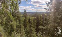 Erste Blicke Erste Blicke