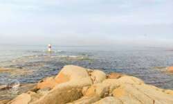 Felsen und Küste Felsen und Küste