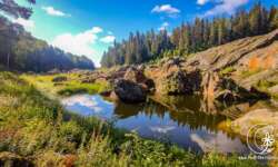 letzte Wasserstellen im Toten Wasserfall