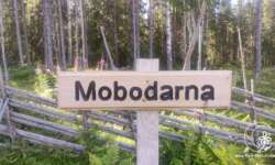 Mobodarna Mobodarna