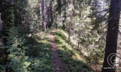 Schmaler Grat Schmaler Grat